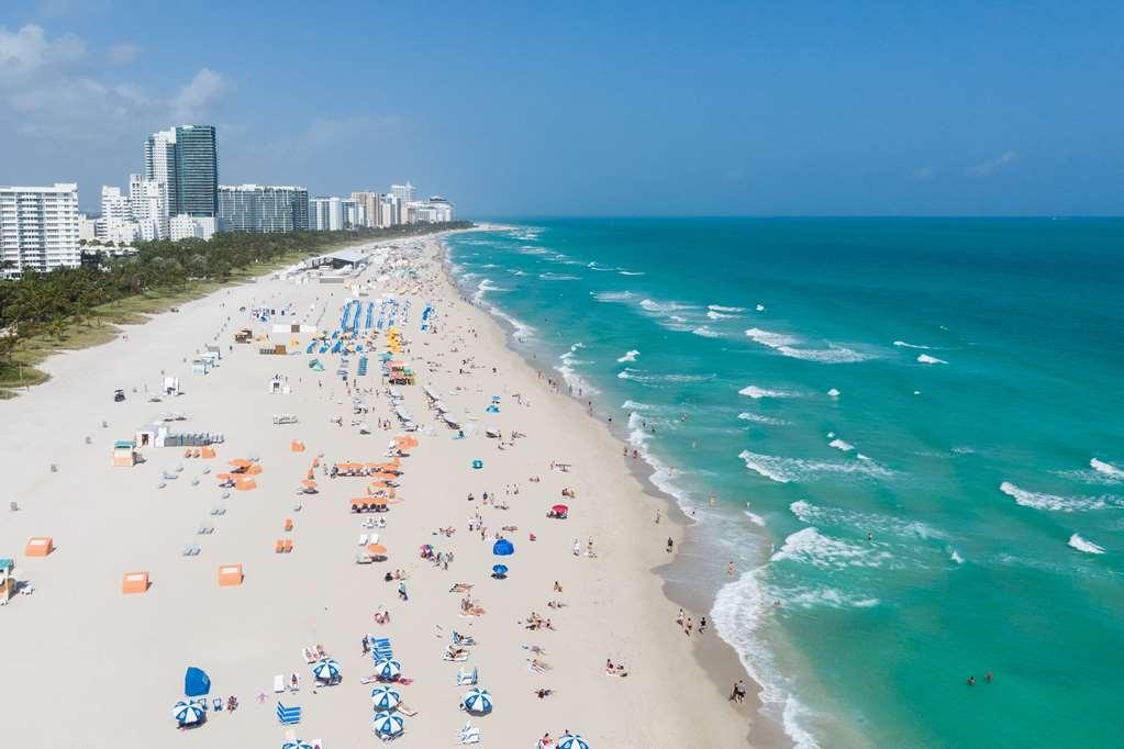 Private Studio At Z Ocean Hotel Miami Beach Nature photo